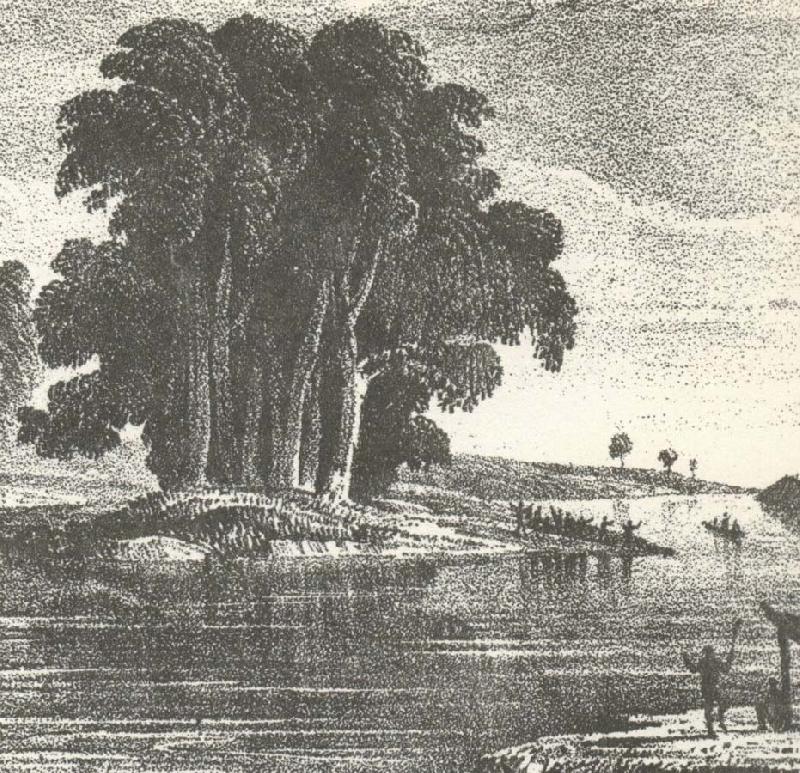 william r clark charles sturt den australiska utorskningens fader upptackte darlingfloden 1828 och foljde den nedstroms till dess sammanflode med murtay floden. Germany oil painting art